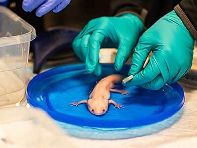 Appointment Request Form