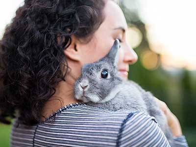 Rabbit Care