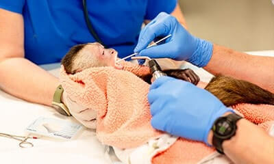 Surgery Surgery Services