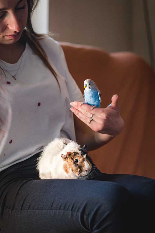 A woman with bird and guinea pig A woman with bird and guinea pig