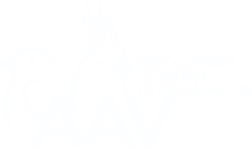 AAV Logo